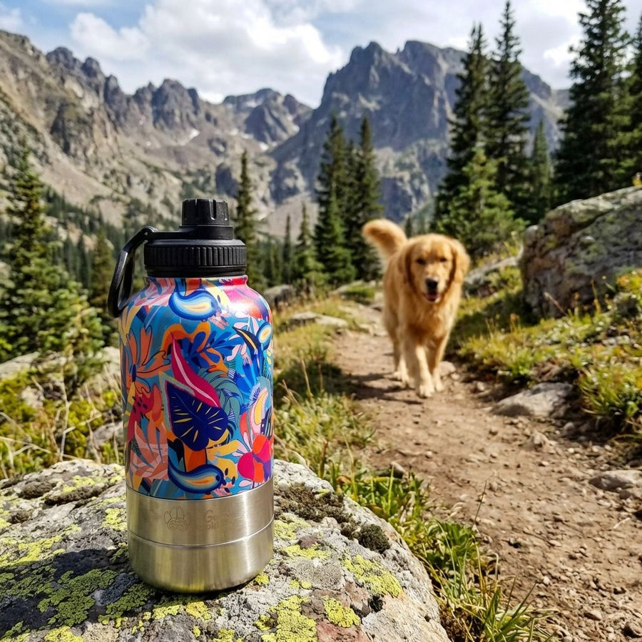 On distingue, en arrière-plan, un labrador qui marche en montagne vers une gourde 3-en-1 Lagon placée sur un rocher.