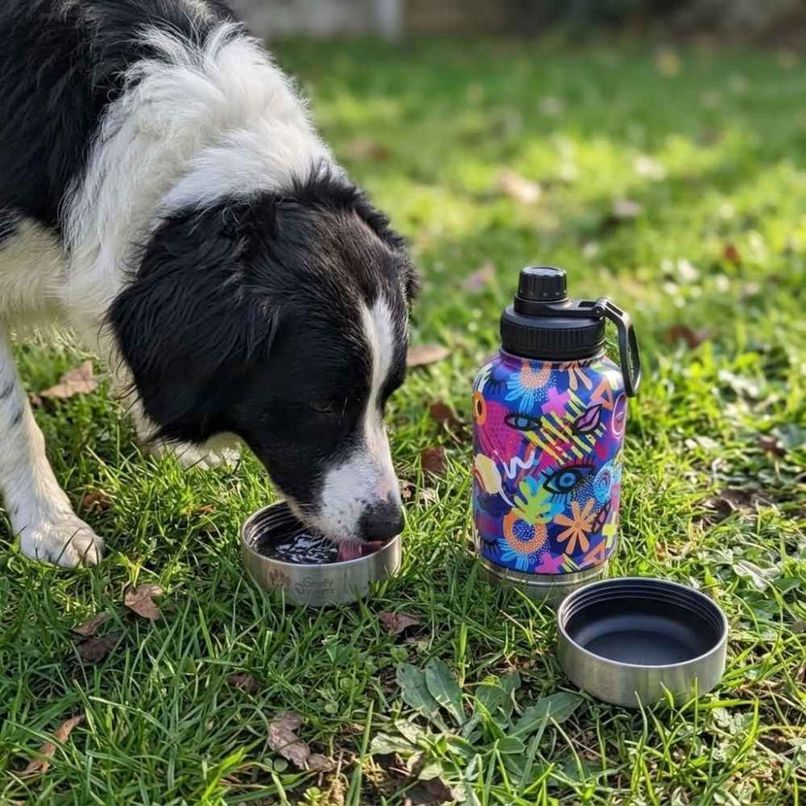 Chien noir et blanc à côté de la gourde Pop Art Goofy Goldens