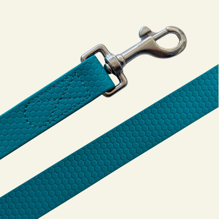 Waterproof multi-position Peacock Blue leash 