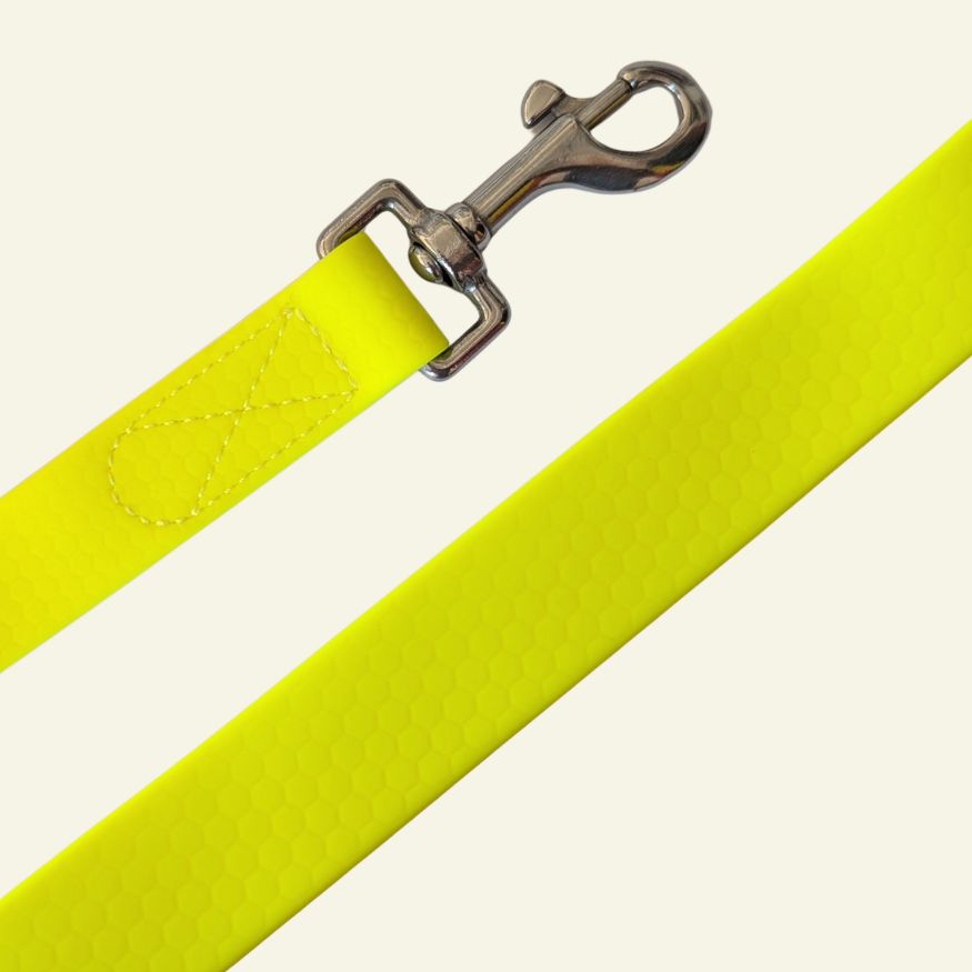 Waterproof multi-position neon yellow leash