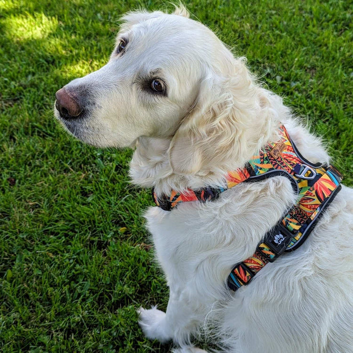 No-Pull Dog Harness Tropical