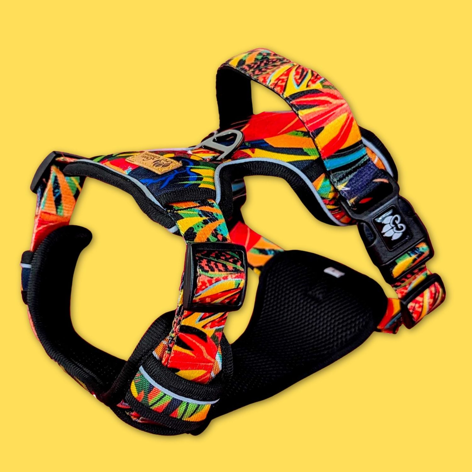 Dog harness: comfortable and durable harnesses to discover