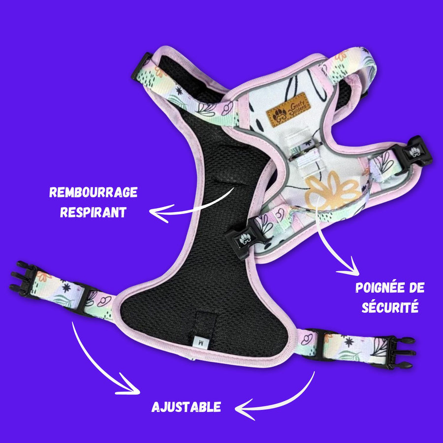 Un harnais anti-traction Goofy Goldens de couleur pastel présenté à plat et ouvert afin de distinguer le double rembourrage et les boucles d'ouverture