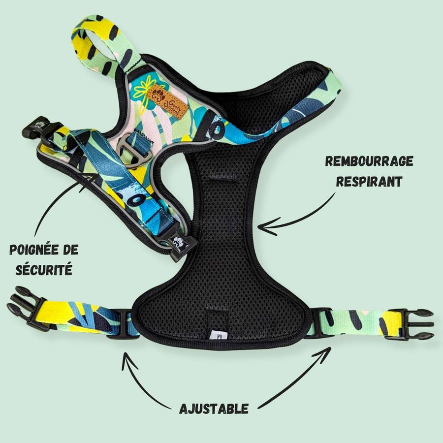 Très joli harnais Récif anti-traction ouvert permettant de voir le rembourrage du produit ce qui assure le confort du chien
