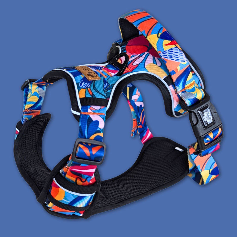 Vue 3D du harnais anti traction de la collection Lagon. Un superbe harnais aux mélanges de bleu, rouge, orange, jaune et noir représentant la richesse et la beauté des lagons