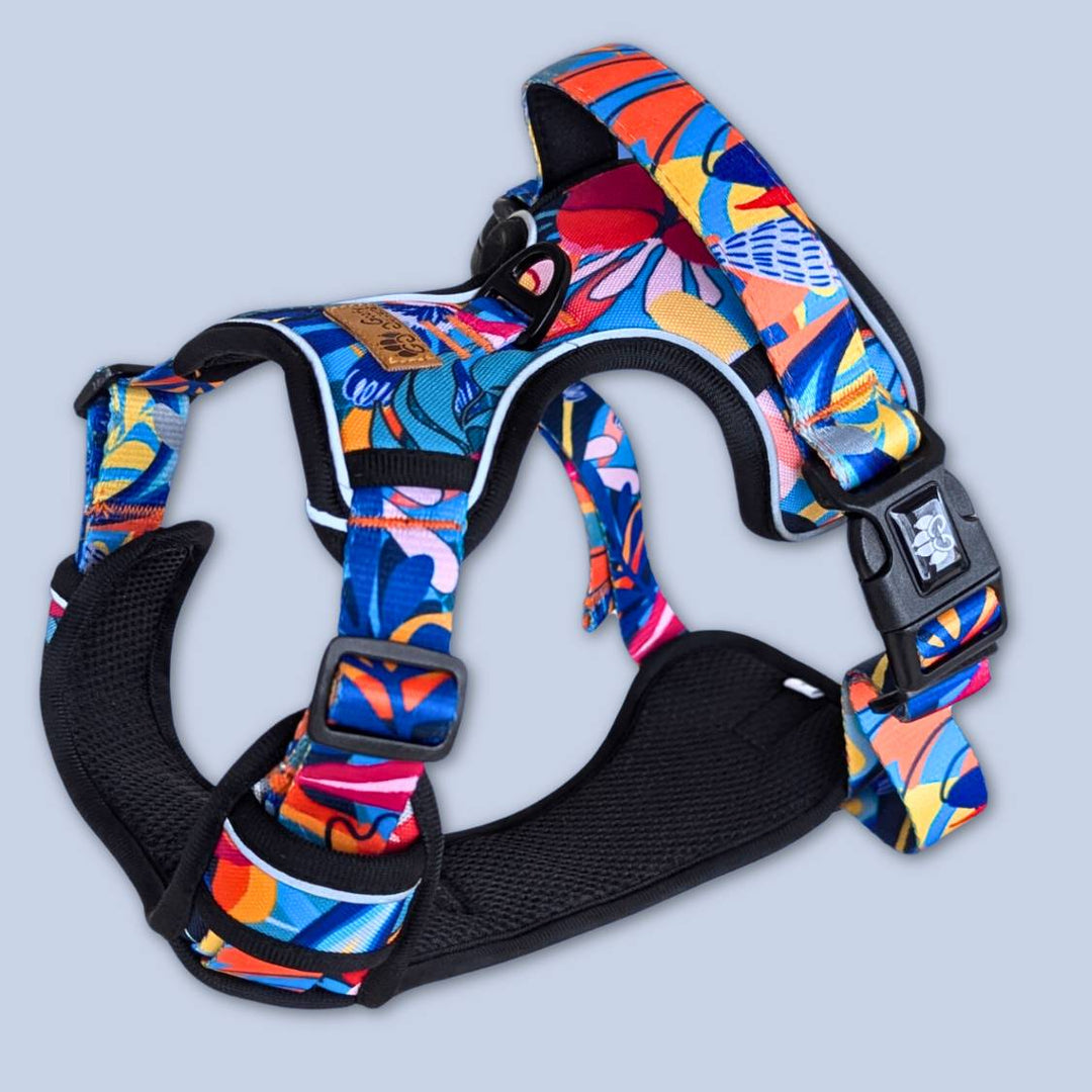 Vue 3D du harnais anti traction de la collection Lagon. Un superbe harnais aux mélanges de bleu, rouge, orange, jaune et noir représentant la richesse et la beauté des lagons