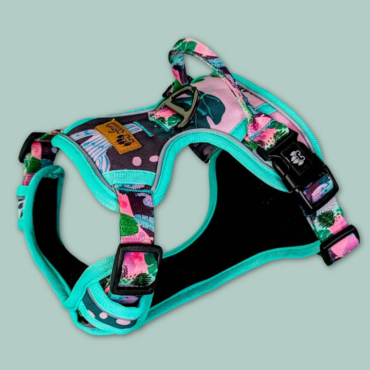 Vue 3D du harnais anti traction de la collection Cactus. Un superbe harnais orné de motifs et couleurs pétillants.
