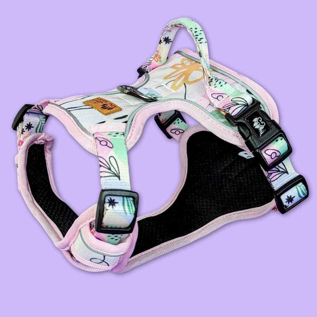 Vue 3D du harnais anti traction de la collection Pastel. Un superbe harnais orné de motifs et couleurs pétillants.