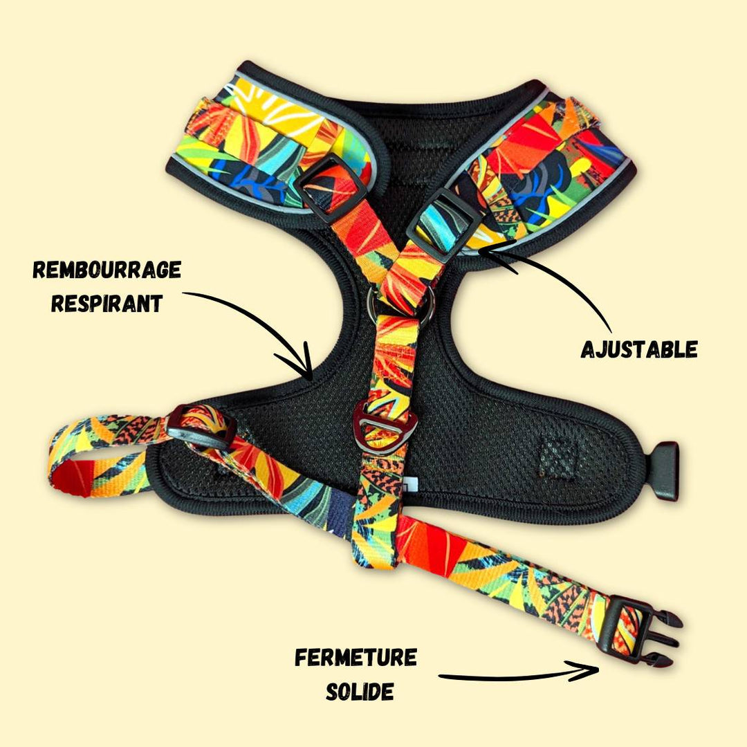 Harnais classique Tropical de la marque française Goofy Goldens. Le harnais est ouvert et on voit le rembourrage intérieur conçu pour le confort du chien.