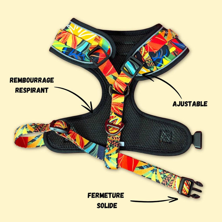 Harnais classique Tropical de la marque française Goofy Goldens. Le harnais est ouvert et on voit le rembourrage intérieur conçu pour le confort du chien.