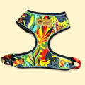 Harnais Classique Tropical