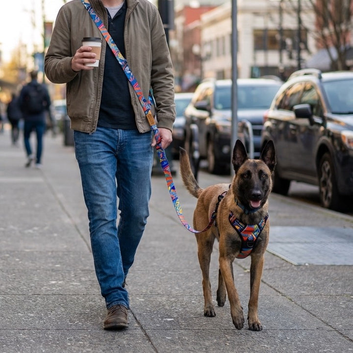 Harnais pour chien Confort en Y Lagon