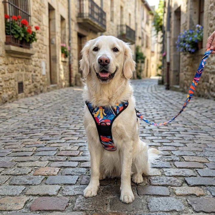 Comfort Dog Harness Lagoon