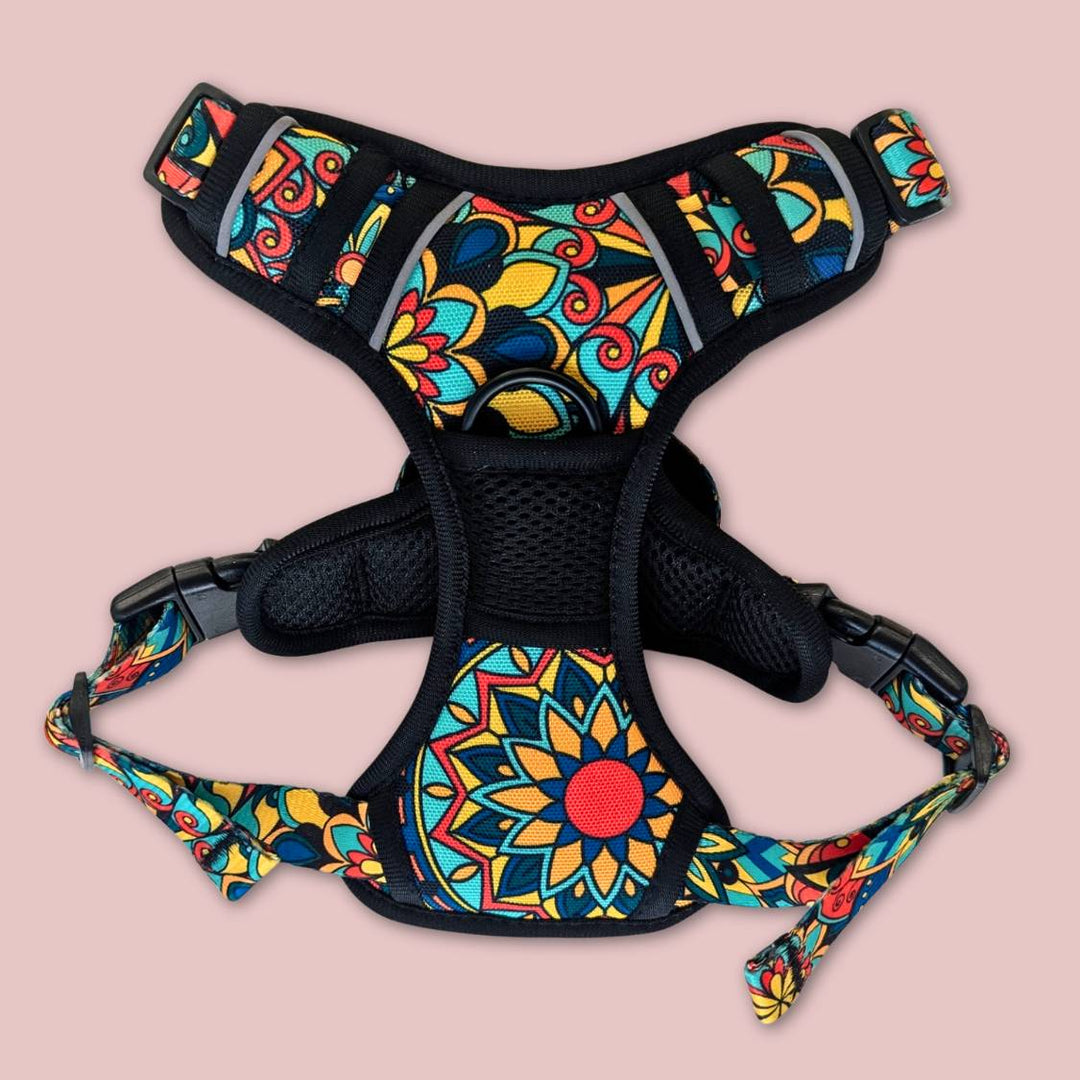 On peut voir l'avant du harnais anti-traction Mandala aux couleurs vives de la marque Goofy Goldens. 