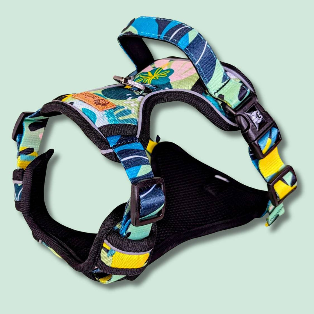 Vue 3D du harnais anti traction de la collection Récif. Un superbe harnais orné de motifs et couleurs pétillants.