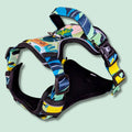 Reef No-Pull Dog Harness