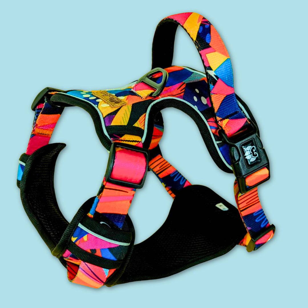 Vue 3D du harnais Confort de la collection Panache. Un superbe harnais orné de motifs et couleurs pétillants.