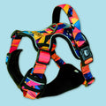 No-pull dog harness Plume