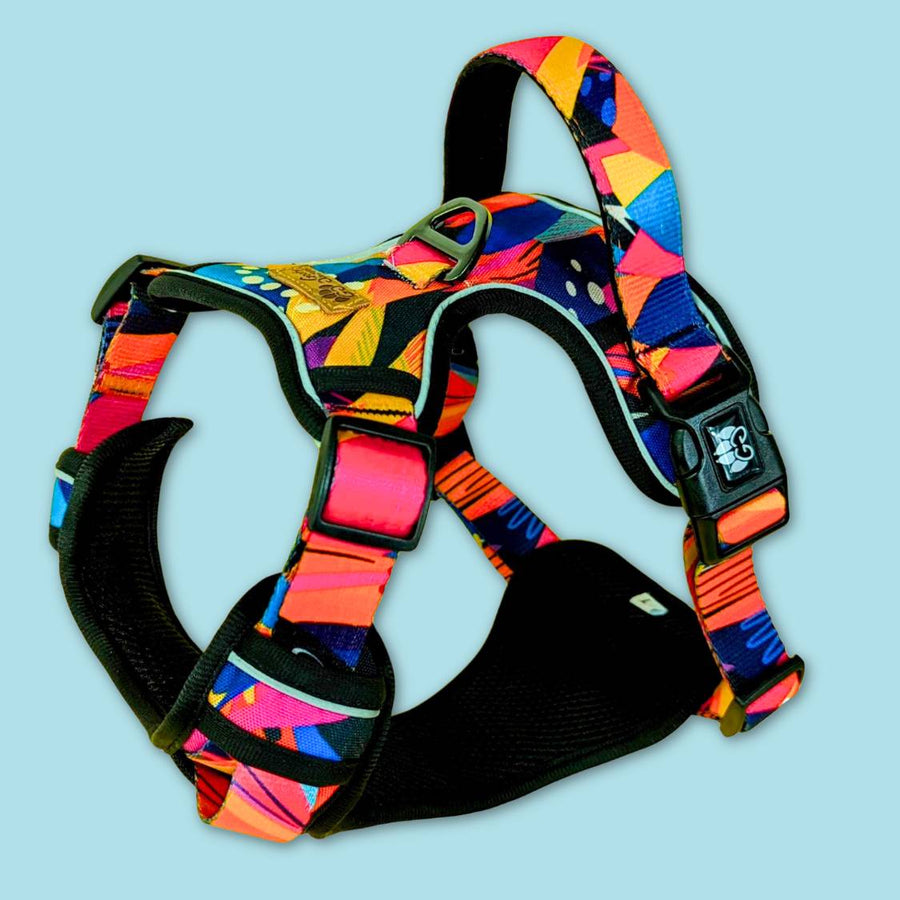 Vue 3D du harnais Confort de la collection Panache. Un superbe harnais orné de motifs et couleurs pétillants.