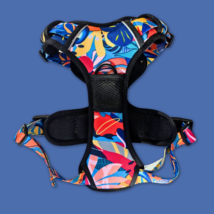 Très jolie harnais anti-traction Lagon aux couleurs bleu, rouge, orange, jaune et noir. Cette photo montre le poitrail avant du harnais avec l'anneau avant.