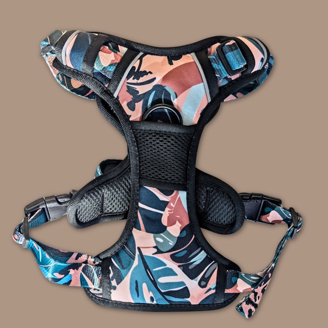 Harnais anti-traction Savane de la marque Goofy Goldens. La photo montre l'anneau à l'avant du poitrail de l'harnais permettant la sécurité des toutous les plus dynamiques.