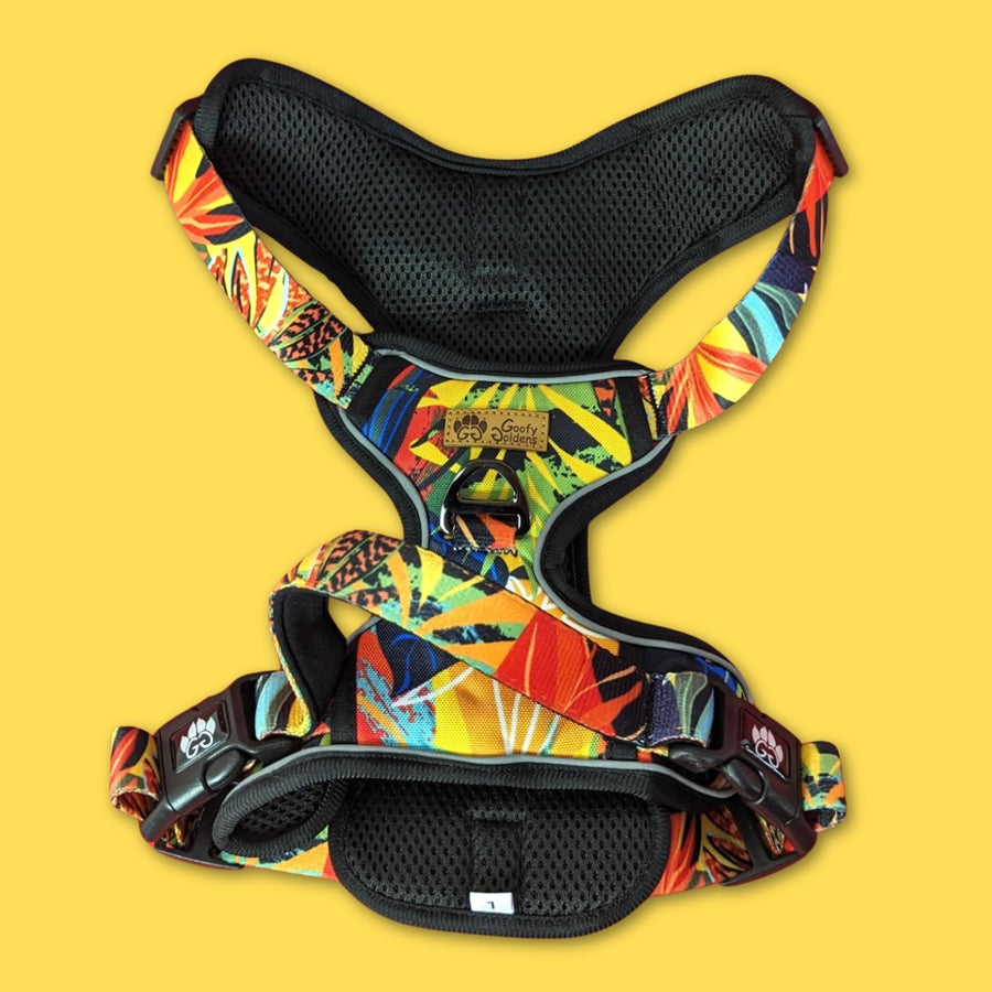 Superbe harnais anti-traction Tropical aux tons oranges, jaunes, verts et rouges. On voit le rembourrage intérieur, la boucle en D et la poignée rembourré. C'est une photo d'ensemble.