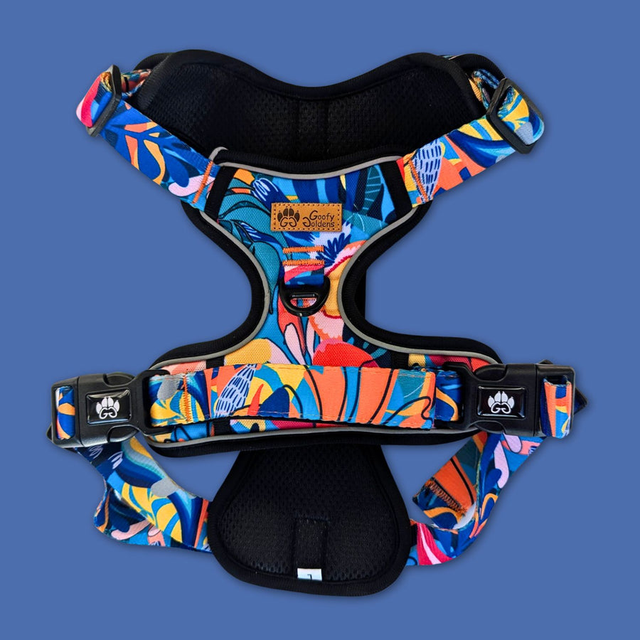 Vu d'ensemble du harnais anti-traction Lagon, de la marque Goofy Goldens, on peut voir l'anneau en D, les boucles d'attache et la poignée de sécurité.
