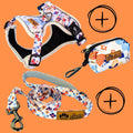 No-pull Y harness walk kit Spring