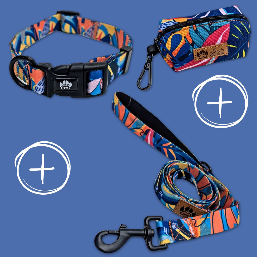 Kit de balalde ,collier, laisse et sac à déjéction assortis avec un tissu coloré à motif tropical rouge , jaune , bleu et orange.
