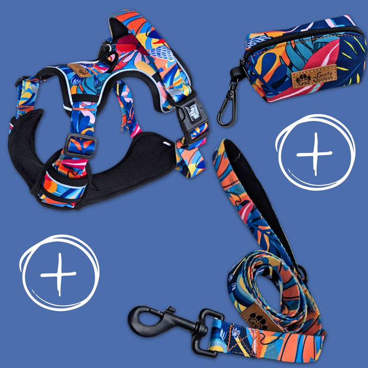 Kit de balade "Harnais anti traction" de la collection Lagon comprenant: le harnais, la laisse et le distributeur de sacs à crottes.