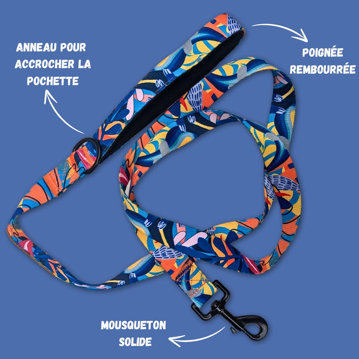 Laisse de la gamme Lagon entièrement dépliée, mettant en évidence la poignée rembourrée pour un confort optimal ainsi que les systèmes d’attache robustes.