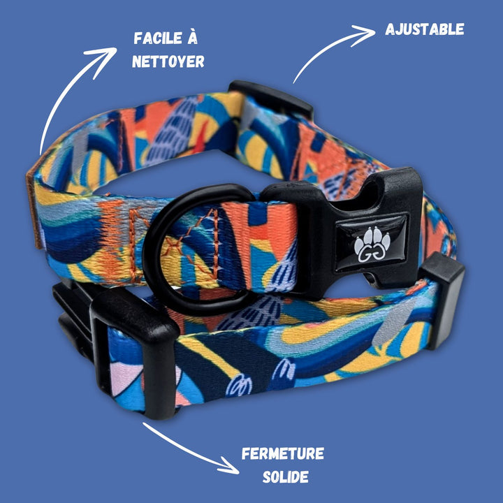 Collier de la marque Goofy-Goldens , aux couleurs vives, est présenté en gros plan. Il est réglable, facile à nettoyer, doté d’une attache solide.