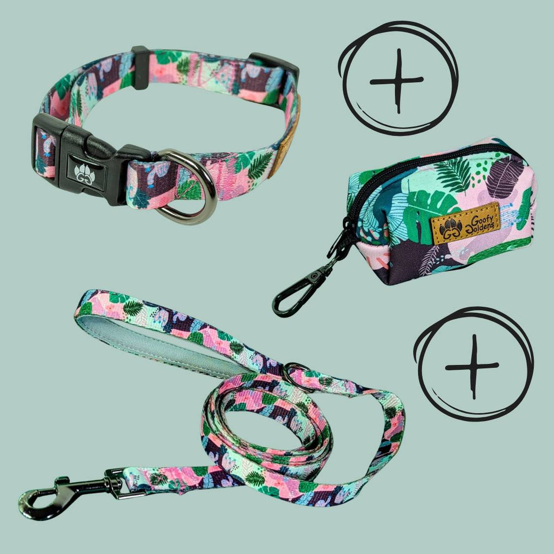 Kit de balade "Collier" de la collection cactus comprenant: le collier, la laisse et le distributeur de sacs à crottes