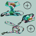 Walk Kit adjustable harness Cactus 
