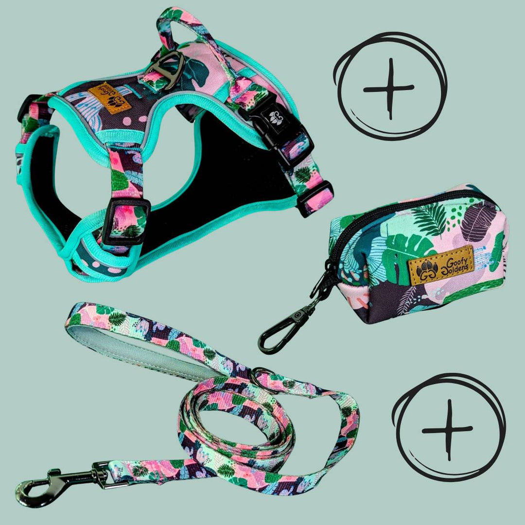 Kit de balade "Harnais confort" de la collection Cactus comprenant: le harnais, la laisse et le distributeur de sacs à crottes