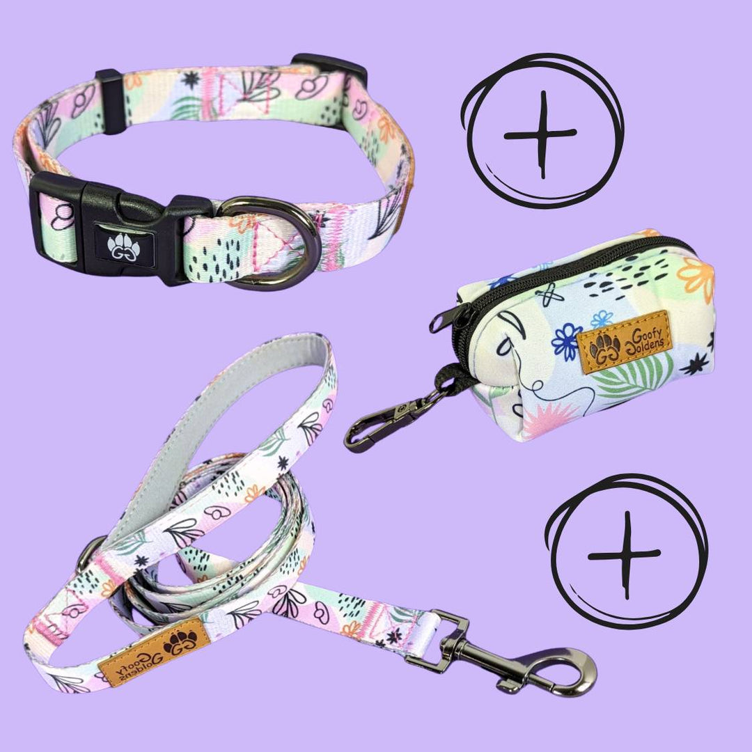 kit de balade collier Pastel comprenant laisse collier et pochette de sacs à déjections. 