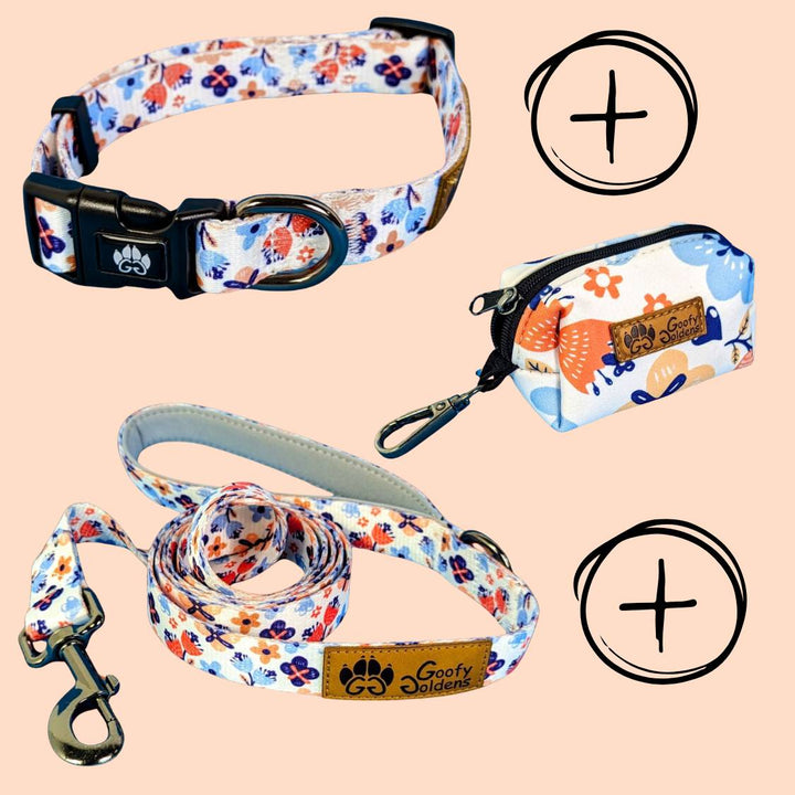 Walk kit collar Spring