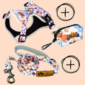 No-pull Y harness walk kit Spring