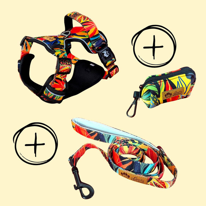 Kit de balade "Harnais a" de la collection Tropical comprenant: le harnais, la laisse et le distributeur de sacs à crottesconfort
