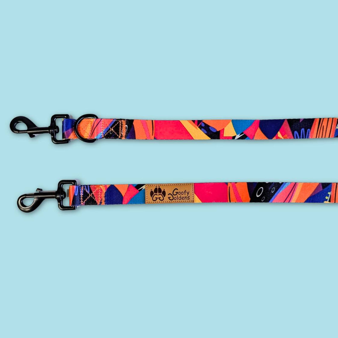 Vue sur les deux mousquetons de la laisse Multiposition de la marque Goofy Goldens aux couleurs jaune, orange, bleu, violet et fuchsia.
