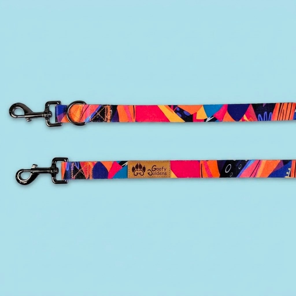 Vue sur les deux mousquetons de la laisse Multiposition de la marque Goofy Goldens aux couleurs jaune, orange, bleu, violet et fuchsia.