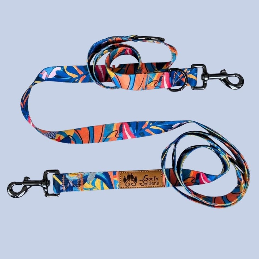 Laisse multipostion pour chien originale et colorée aux mélanges de bleu, rouge, orange, jaune et noir de la marque Goofy Goldens.