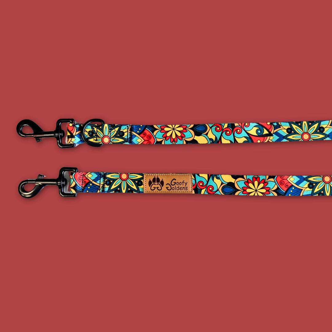 On aperçoit les deux mousquetons de la laisse Multipositons de la marque Goofy Goldens aux couleurs vertes, rouges, jaunes et bleues