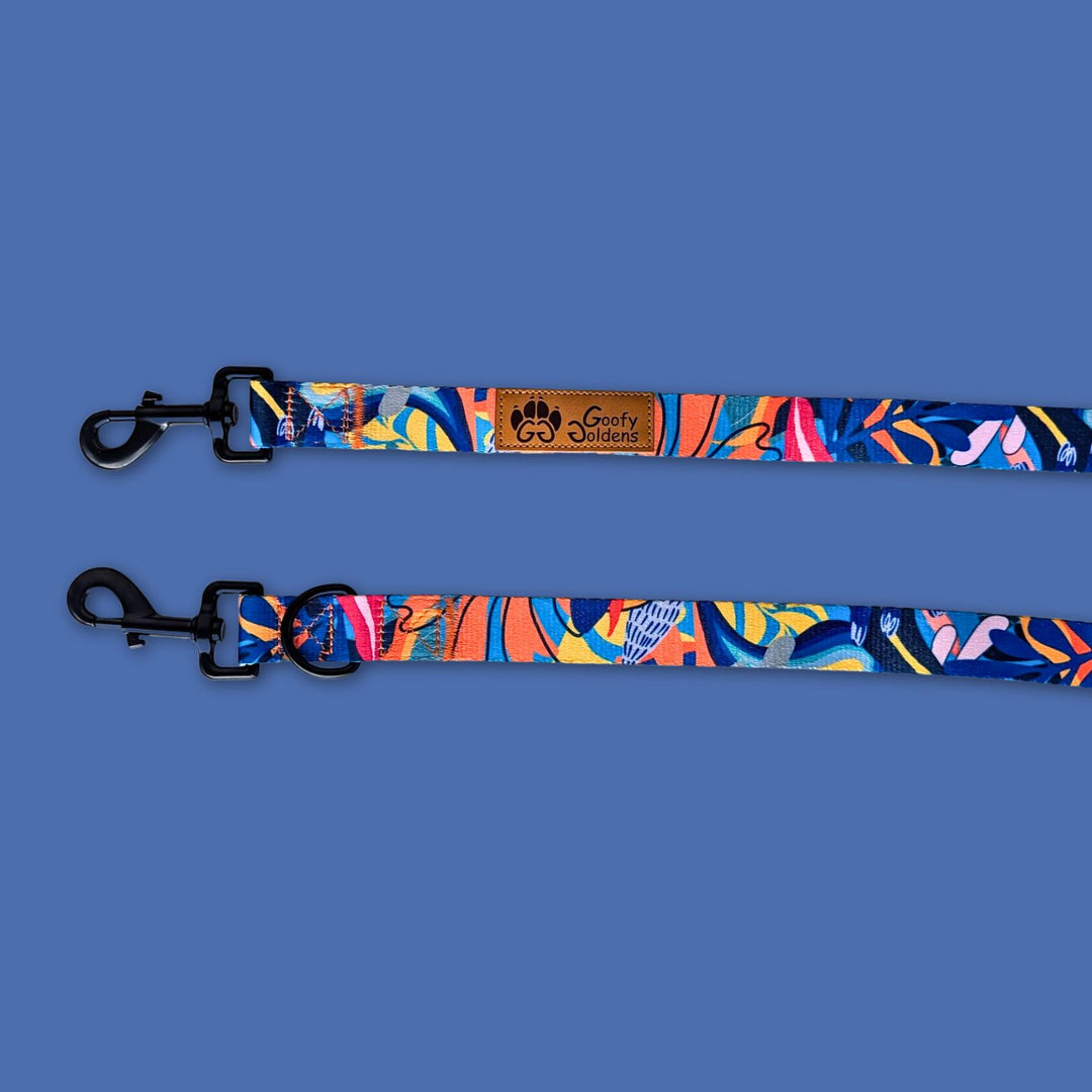 Laisse multiposition de la gamme Lagon ,laissant apparaître ses deux mousquetons.