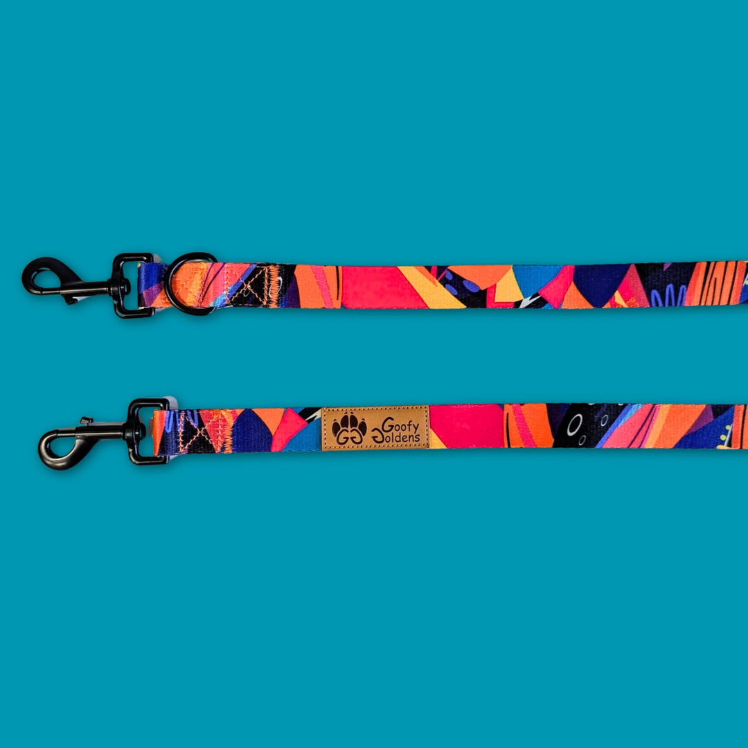 Vue sur les deux mousquetons de la laisse Multiposition de la marque Goofy Goldens aux couleurs jaune, orange, bleu, violet et fuchsia.