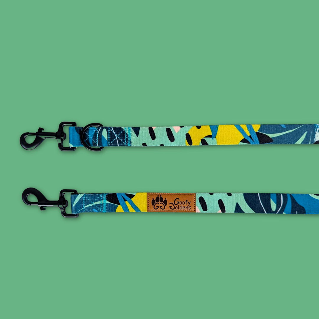 Vue sur les deux mousquetons de la laisse Multipositons da la gamme Récif aux motifs vert, jaune et bleu.