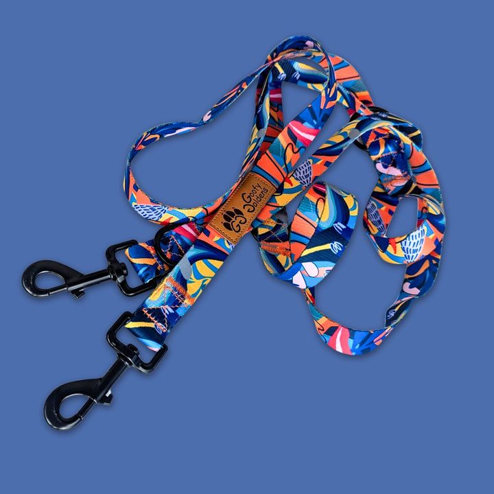 Présentation de la jolie laisse multiposition pour chien de la gamme Lagon aux motifs colorés de la marque innovante Goofy Goldens.