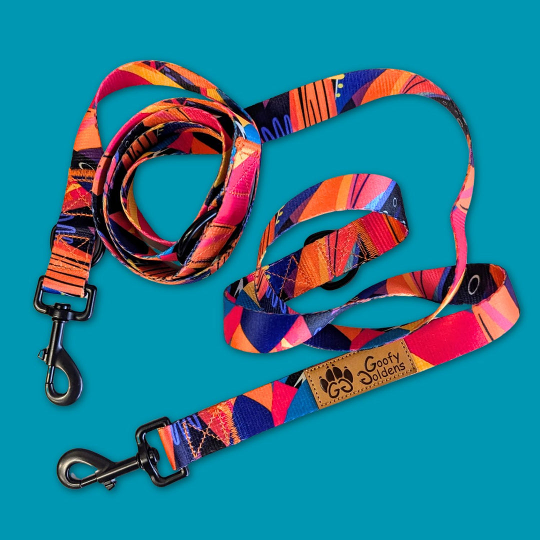 On aperçoit la laisse Multiposition de la gamme Panache enroulée, déclinée dans des couleurs vives de jaune, orange, bleu, violet et fuchsia.