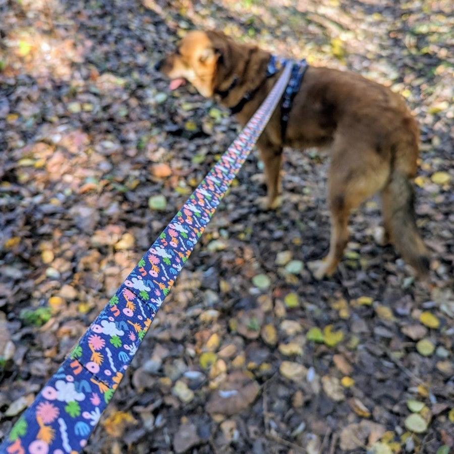 Zoom sur la magnifique laisse pour chien Deep Agua de la marque Goofy Goldens. On distingue ici les motifs colorés et originaux