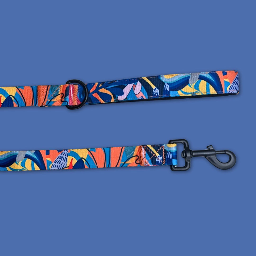 Zoom sur la laisse de la gamme Lagon ,laissant apparaître le mousqueton et l'attache.